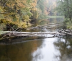 Rzeka Drawa fot. Marcin Bielatko