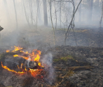 Pożar lasu w DPN-  3.04.2019  fot. M. Bielatko (1).jpg