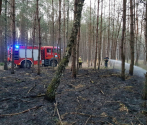 Pożar lasu w DPN-  3.04.2019  fot. M. Bielatko (3).jpg