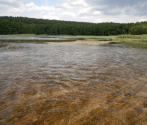 monitoring roślinności rzecznej i jeziornej - jez. Sitno_część gdzie wpływa rzeka Płociczna fot. M. Wilhelm.JPG
