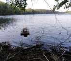 monitoring tropów łasicowatych w dolinie Drawy i Płocicznej -rozstawianie sprzętu na jeziorze.jpg