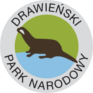 dpn.pl-logo