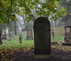 Cmentarz Springe, fot. Ewa Wnuk Gławdel
